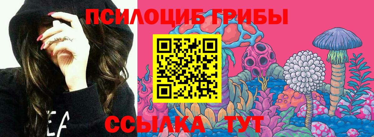 Галлюциногенные грибы прущие грибы Нефтеюганск